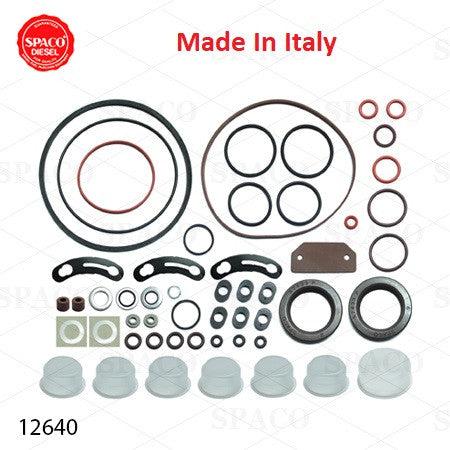 Diesel Stanadyne Roosa Master Injection Pump Kit DM2 DM4 24372